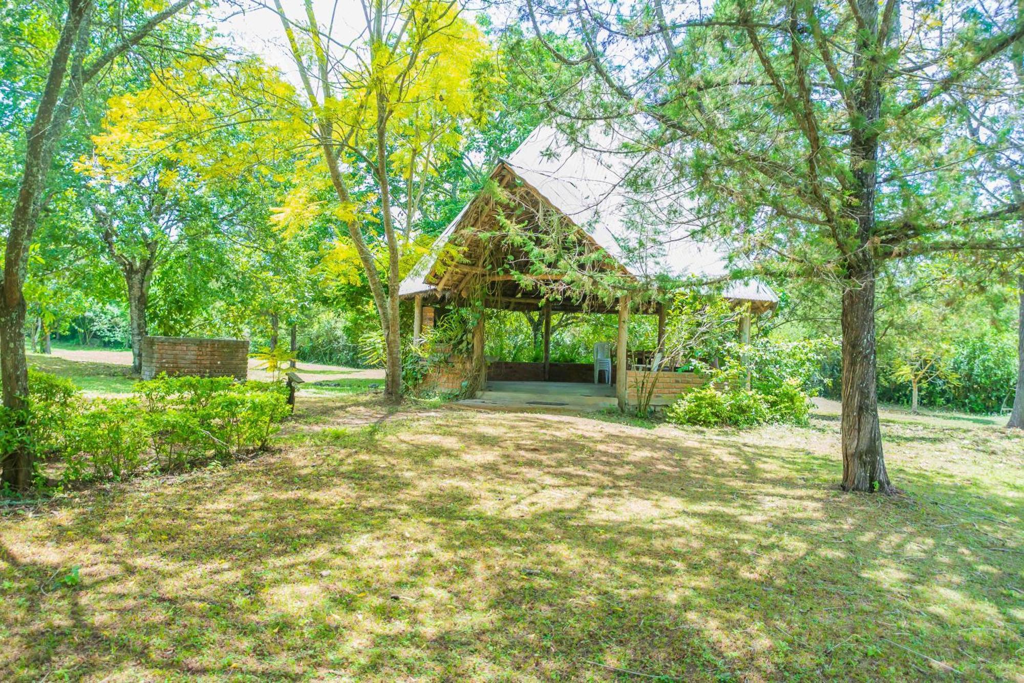 Meru Mbega Lodge Usa River Exterior foto
