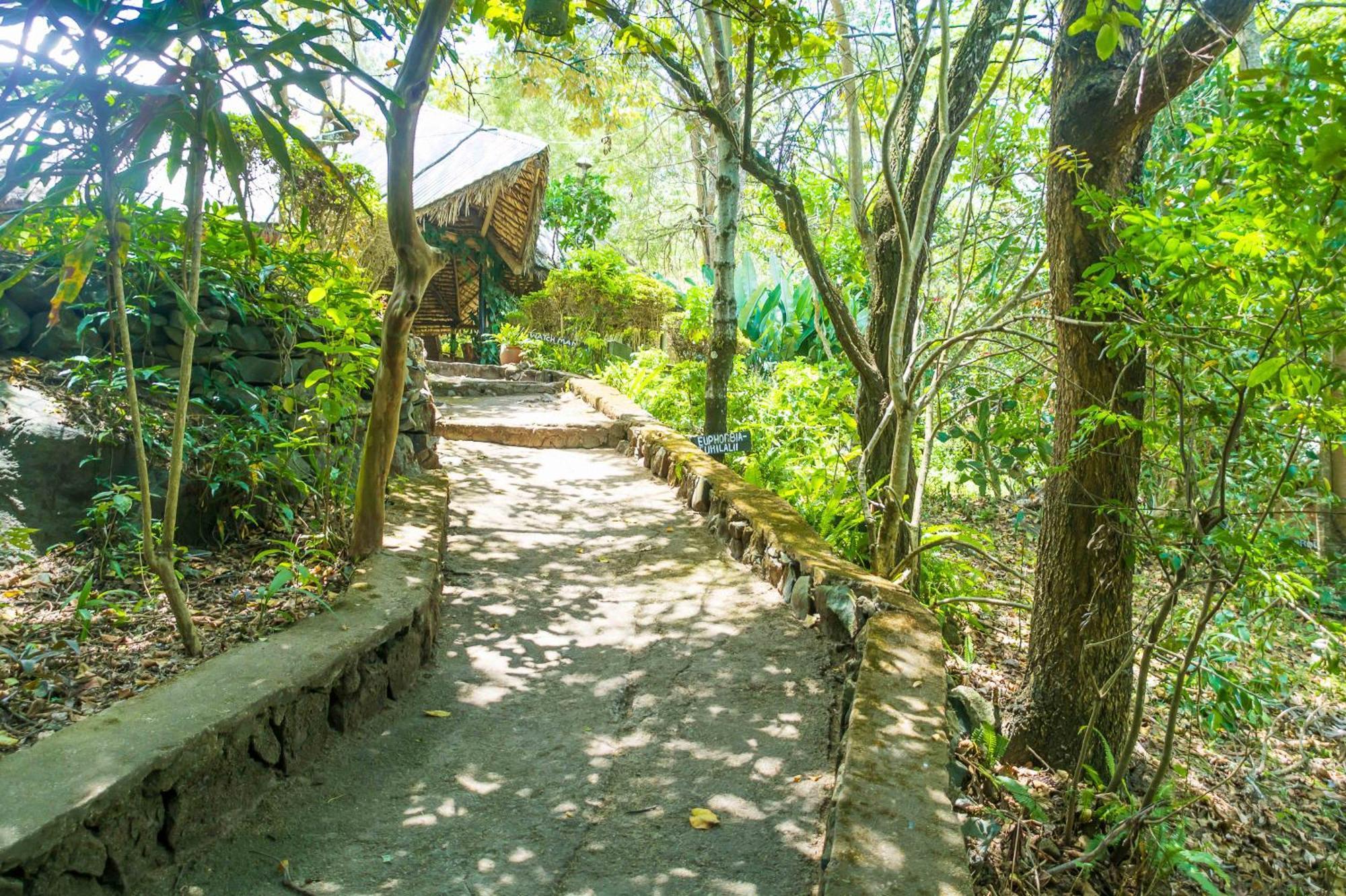 Meru Mbega Lodge Usa River Exterior foto
