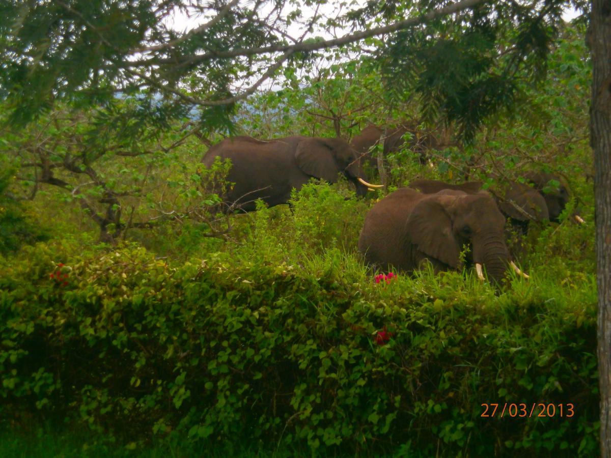 Meru Mbega Lodge Usa River Exterior foto